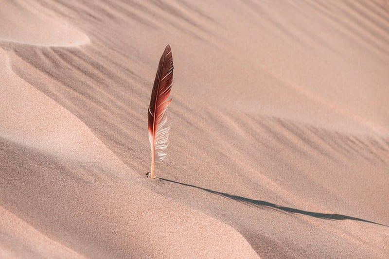 Desert Dwelling