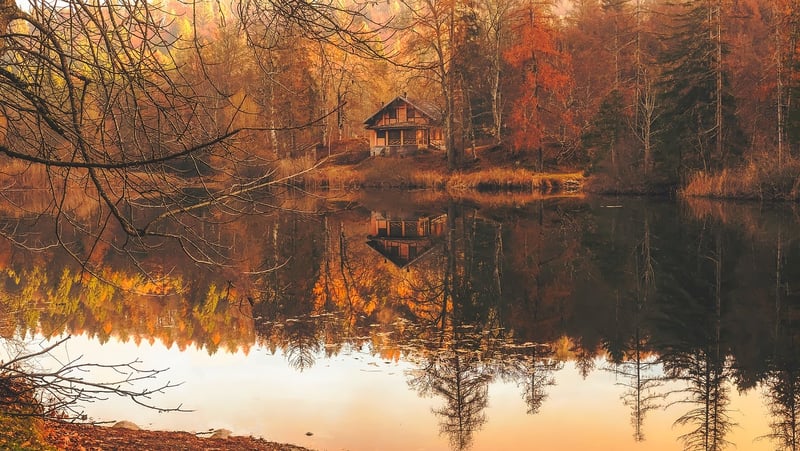 Floating Cabin